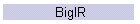 BigIR